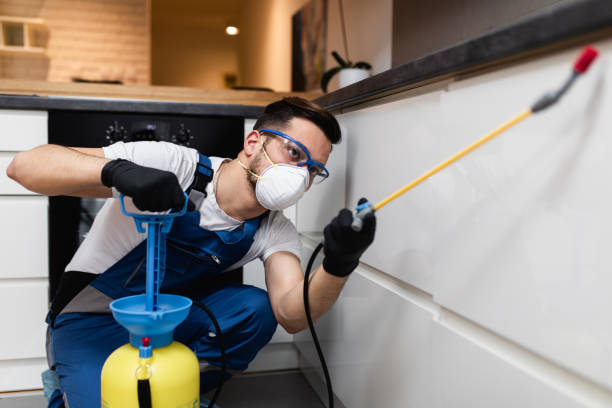 Best Exterminator Services  in Winton, CA