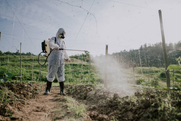Best Pest Control Treatment  in Winton, CA