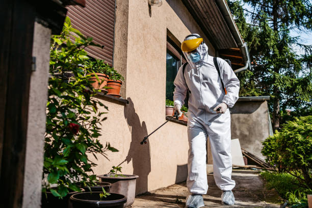 Best Mosquito Control Services  in Winton, CA