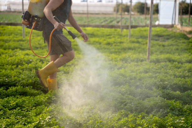 Best Best Pest Control Companies  in Winton, CA