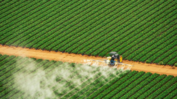 Best Best Pest Control Companies  in Winton, CA